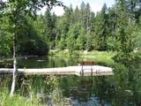 82 Limber Pine - Photo 41