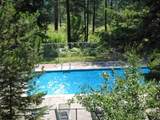 82 Limber Pine - Photo 42