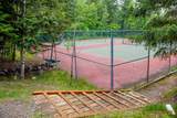 82 Limber Pine - Photo 44