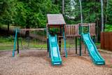 82 Limber Pine - Photo 46