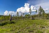 6999 Fortine Creek Road - Photo 11