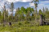 6999 Fortine Creek Road - Photo 12