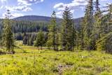 6999 Fortine Creek Road - Photo 14