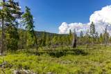 6999 Fortine Creek Road - Photo 9