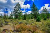 Lot 8 Bighorn Bluff Road - Photo 48