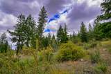 Lot 29 Bighorn Bluff Loop - Photo 17