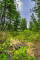 Lot 29 Bighorn Bluff Loop - Photo 21