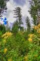 Lot 29 Bighorn Bluff Loop - Photo 23