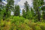 Lot 29 Bighorn Bluff Loop - Photo 24