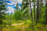 Lot 29 Bighorn Bluff Loop - Photo 25