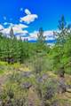 Lot 29 Bighorn Bluff Loop - Photo 35