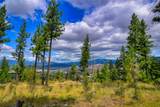 Lot 29 Bighorn Bluff Loop - Photo 38