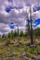 Lot 29 Bighorn Bluff Loop - Photo 46