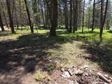 568 Bald Rock Road - Photo 25