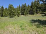 568 Bald Rock Road - Photo 29