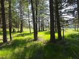 568 Bald Rock Road - Photo 32