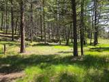 568 Bald Rock Road - Photo 33