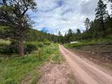 2270 Lynx Trail Drive - Photo 12