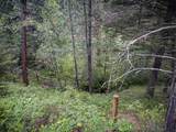 2270 Lynx Trail Drive - Photo 16