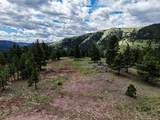 2270 Lynx Trail Drive - Photo 17