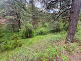 2270 Lynx Trail Drive - Photo 18