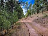 2270 Lynx Trail Drive - Photo 19