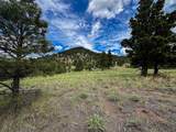 2270 Lynx Trail Drive - Photo 25