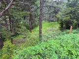 2270 Lynx Trail Drive - Photo 30
