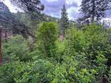 2270 Lynx Trail Drive - Photo 31