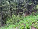 2270 Lynx Trail Drive - Photo 32
