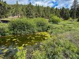 2270 Lynx Trail Drive - Photo 41