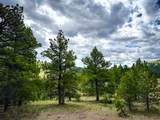 2270 Lynx Trail Drive - Photo 42
