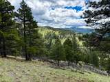 2270 Lynx Trail Drive - Photo 43