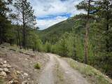 2270 Lynx Trail Drive - Photo 49