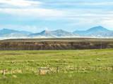 39872 Us Hwy 87 - Photo 6