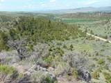 TBD Lone Wolf Trail - Photo 16