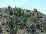 TBD Lone Wolf Trail - Photo 19