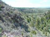 TBD Lone Wolf Trail - Photo 29