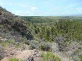 TBD Lone Wolf Trail - Photo 31