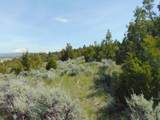 TBD Lone Wolf Trail - Photo 4
