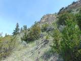 TBD Lone Wolf Trail - Photo 47