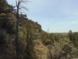 TBD Lone Wolf Trail - Photo 56