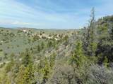 TBD Lone Wolf Trail - Photo 57