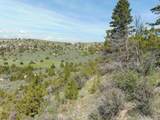 TBD Lone Wolf Trail - Photo 58