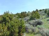 TBD Lone Wolf Trail - Photo 7