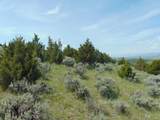 TBD Lone Wolf Trail - Photo 9