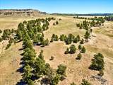 0 Miller Butte - Photo 6