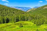 Nhn Pattee Canyon Road - Photo 1