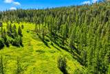 Nhn Pattee Canyon Road - Photo 12