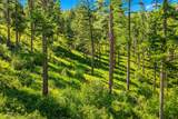 Nhn Pattee Canyon Road - Photo 13